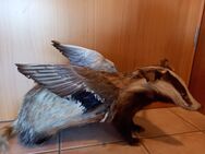 Wolpertinger ,bayerisches Fabelwesen, - Göttingen