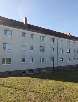 helle 3-Raum-Wohnung in ruhiger Lage WE007 - Döbeln