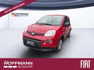 Fiat Panda, 1.0 PANDINA ) GSE CITY-PAKET, Jahr 2022 - Siegen (Universitätsstadt)