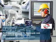 Techniker/in (m/w/d) für Elektronik- und Mechatronik-Betriebstechnik - Neustadt (Weinstraße)