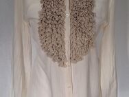 Bluse, creme, ETRO - Nienburg (Weser)