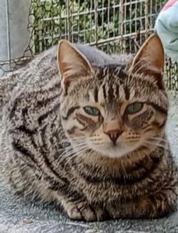 Lucks - verzaubert dich im Nu! - Bergkirchen