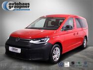 VW Caddy Maxi 2.0 TDI - Brandis