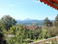 Singlewohnung mit atemberaubendem Bergblick in Ainring, Berchtesgadener Land - sofort beziehbar! - Ainring