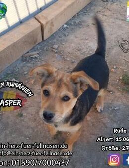 CASPER-hallo, hallo, wo seid IHR???? - Waakirchen