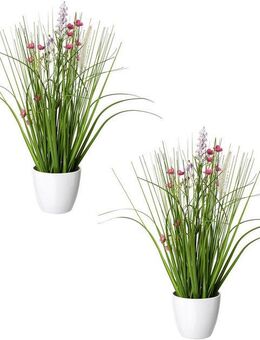 Kunstgras Blüten-Gras-Mix, Creativ green, Höhe 41 cm, in weißer Kunststoffschale