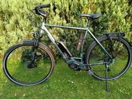 E-Bike Herren Kreidler Vitality Eco 6 sport - Ehndorf