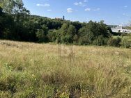 MIT BLICK ZUR BURG VELDENSTEIN - Neuhaus (Pegnitz)