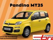 Fiat Panda, Pandina Hybrid MY25 70PS, Jahr 2024 - Leonberg (Baden-Württemberg)