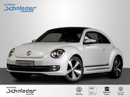VW Beetle, 1.4 TSI Cup, Jahr 2014 - Vlotho