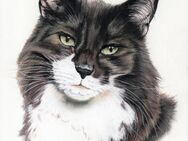 Tiermalerei, Tierportrait, Tierzeichnung n. Foto v. Hund, Katze, Pferd - Hamburg