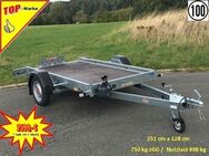 STEMA Motorradanhänger WOM – XT Absenker 750 kg 251 x 128 cm NEU - Iserlohn