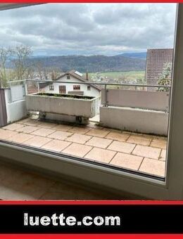 Vermietete 4 ½-Zi-ETW, Rheinblick, beliebte Lage Waldshut-Haspel, grosser Blk. + Terrasse, Grst, Fenster und innen er... - Waldshut-Tiengen