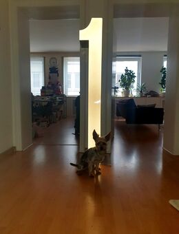 Designer Stehlampe Nr. 1 Spezialanfertigung - Ratingen
