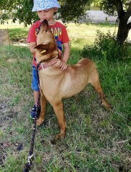 GABBY kämpft jeden Winter ums Überleben‼ - München