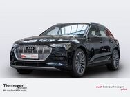 Audi e-tron 50 LM21 AHK BuO KONTURSITZE VIRT.SPIEGEL - Plettenberg