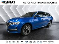 Skoda Octavia, 2.0 TDI Combi Tour, Jahr 2024 - Ludwigsfelde