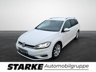 VW Golf Variant, 1.5 TSI Highline, Jahr 2019 - Vechta