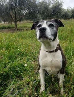 Marylin fühlt sich so einsam - Berlin