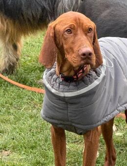 Ich heiße Emil .... - Frankfurt (Main)