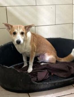 INTI - täglich gemeinsam beschäftigen - Overath