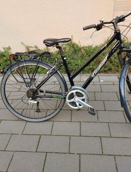 Damenfahrrad - Bad Iburg