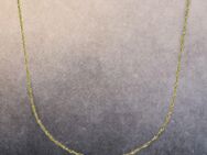 Schönes 585 Gold Collier Singapurkette 42 cm länge - Hagen (Stadt der FernUniversität)