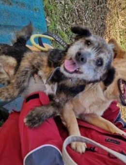 Uschi und Jack - Unzertrennlich - Berlin