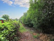 Zeit zur Entspannung: Großes Gartengrundstück in ruhiger Lage von Teutschenthal - Teutschenthal