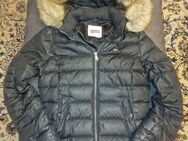 Tommy Hilfiger Gr. S Mädchen Daunen Jacke - Duisburg