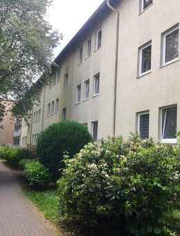 Frisch sanierte Wohnung in grüner Lage - Ihre neue Wohnung? - Reinbek