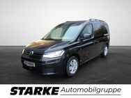 VW Caddy, 2.0 TDI Maxi Family, Jahr 2024 - Lotte