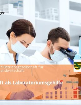 Saisonkraft als Laboratoriumsgehilfe (m/w/d) - Nossen