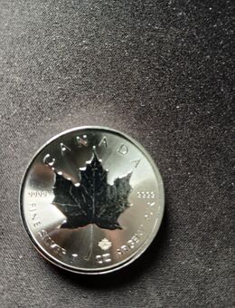 Silbermünze Maple Leaf - Bonn