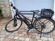 E-Bike Pegasus Solero E8 Plus - Essen