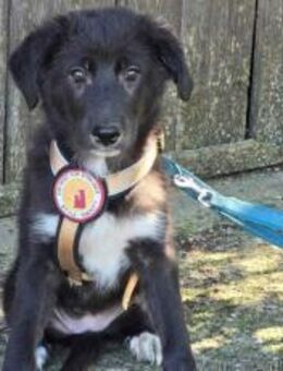 Momo's Blick ist voller Hoffnung - München