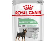 Royal Canin Digestive Care Mousse - 12 x 85 g