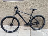 Fahrrad Mountainbike Cube Aim Race - Stuttgart