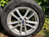 Ford Räder, gebraucht, weiter lesen... - Diepholz