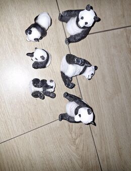 sechs Schleich Pandas abzugeben - Dresden