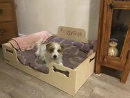 Hundebett für Dackel Größen aus Holz. - Espelkamp