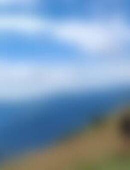 Wol*** - Bad Bellingen