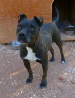 Malu sucht ihr Glück - Fronreute