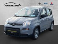 Fiat Panda, 1.0 Base Mild Hybrid Berganfahrass el SP Spieg beheizbar, Jahr 2022 - Bremerhaven