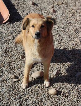 Alide möchte dein Leben schöner machen - Celle