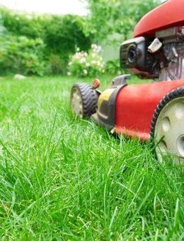 Garten Arbeit - Schorndorf (Baden-Württemberg)