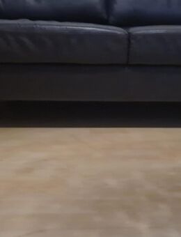 Leder Couch - Ingolstadt