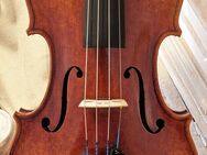 *neue Exemplare* Violine Geige Werkstatt Wang Meng Stradivari **** - echte Werkstattinstrumente, TOP-Angebot - Offenbach (Main) Kaiserlei