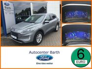 Ford Kuga 2.5 Duratec Plug-in-Hybrid PHEV Titanium X - Grimmen