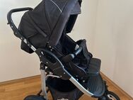Bergsteiger Kombikinderwagen Modell Capri - Otting